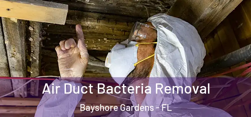 Air Duct Bacteria Removal Bayshore Gardens - FL