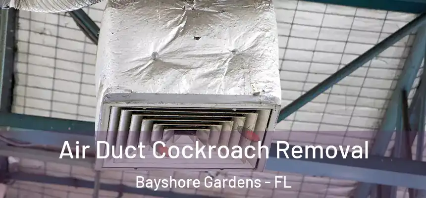  Air Duct Cockroach Removal Bayshore Gardens - FL