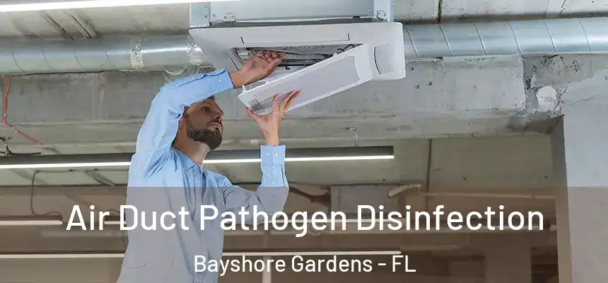 Air Duct Pathogen Disinfection Bayshore Gardens - FL