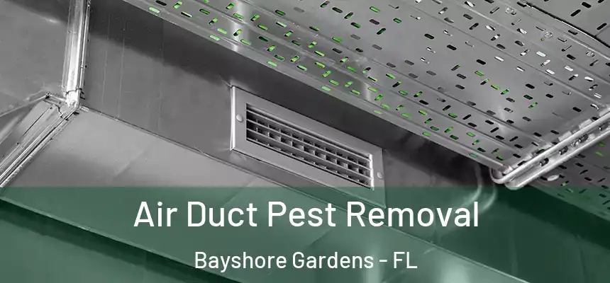 Air Duct Pest Removal Bayshore Gardens - FL