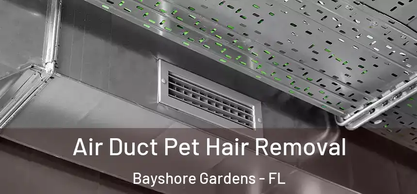 Air Duct Pet Hair Removal Bayshore Gardens - FL