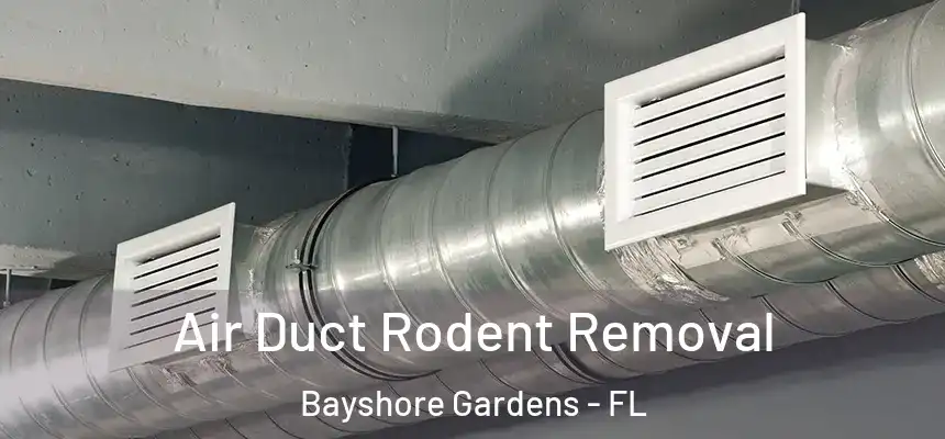 Air Duct Rodent Removal Bayshore Gardens - FL