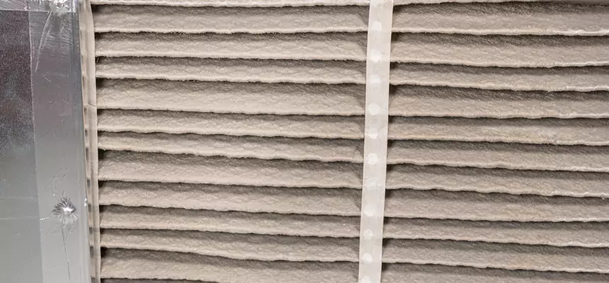 Mobile Car AC Filter Replacement in Bayshore Gardens