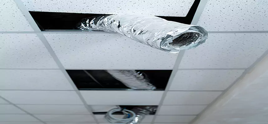 Affordable HVAC Sanitizing After Pest Removal in Bayshore Gardens