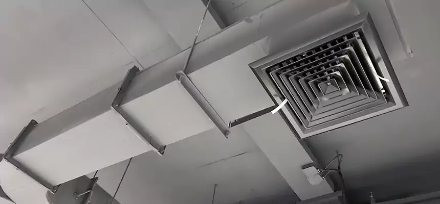 Restorative Allergy Relief Vent Cleaning – Coil, Blower & Housing Detail in Bayshore Gardens