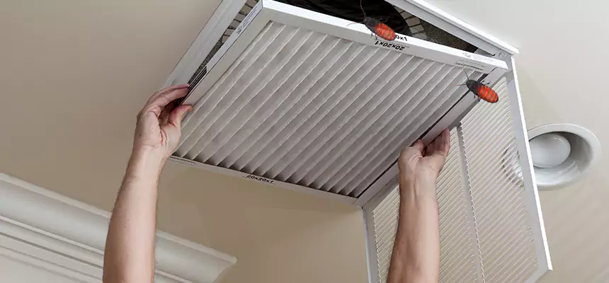 Our Insect Removal from Air Ducts Services in Bayshore Gardens, FL