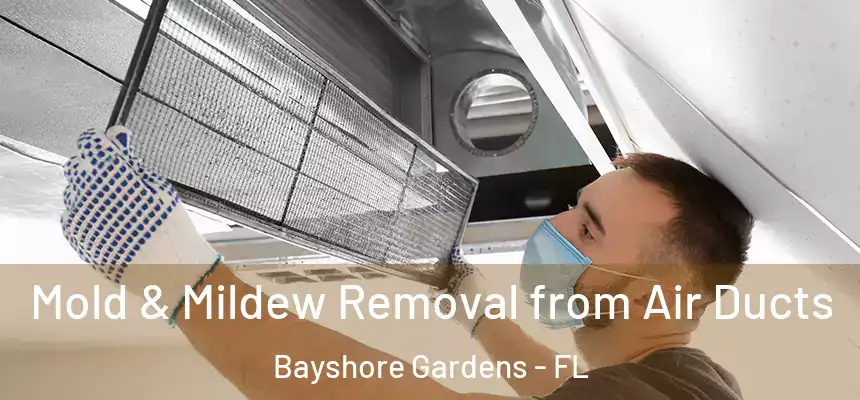 Mold & Mildew Removal from Air Ducts Bayshore Gardens - FL