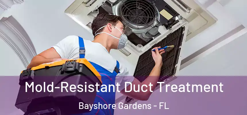 Mold-Resistant Duct Treatment Bayshore Gardens - FL