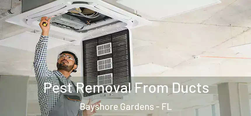  Pest Removal From Ducts Bayshore Gardens - FL
