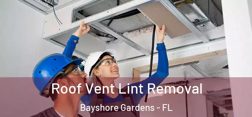 Roof Vent Lint Removal Bayshore Gardens - FL