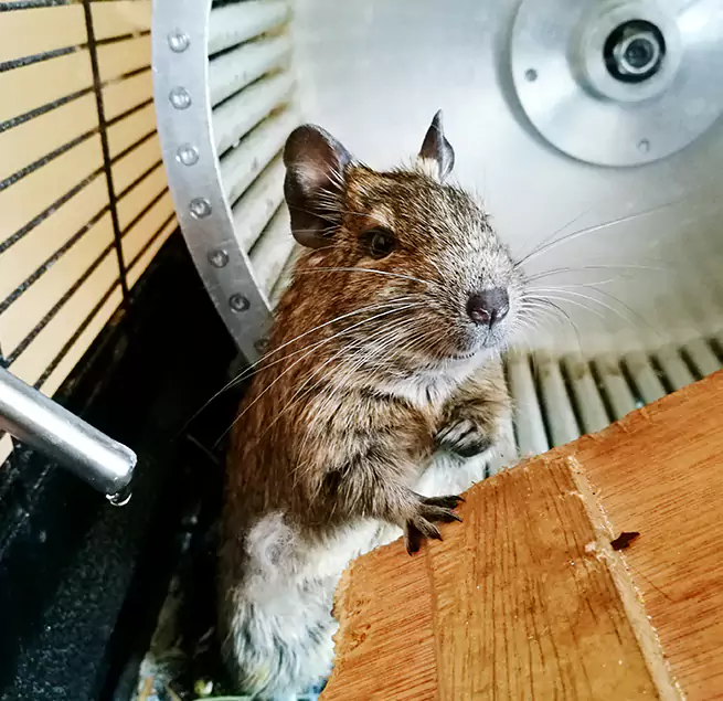 Why Homeowners & Businesses Trust Us Bayshore Gardens, FL?