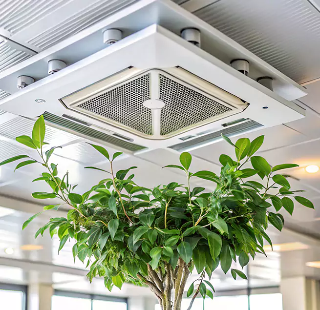 Why Homeowners & Businesses Trust Us in Bayshore Gardens, FL?